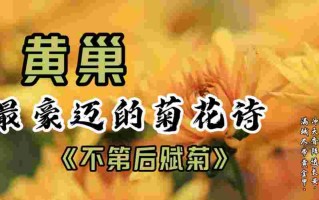 黄金甲歌词,黄金甲歌词完整版