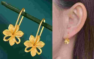 一个黄金耳钉大概多少钱啊一个黄金耳钉大概多少钱