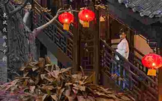 蛾儿雪柳黄金缕,蛾儿雪柳黄金缕 笑语盈盈暗香去修辞