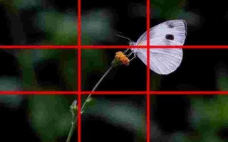 黄金分割法构图,黄金分割法