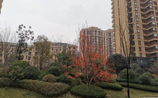 合肥万科翡翠国际价格,万科翡翠天际合肥值得买吗