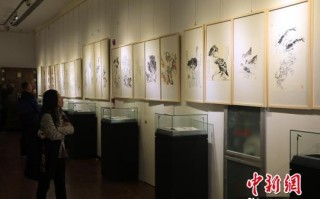 铁岭正冰翡翠原石批发,冰种翡翠原石