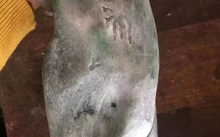 春彩翡翠原石市场,翡翠春采料子好吗