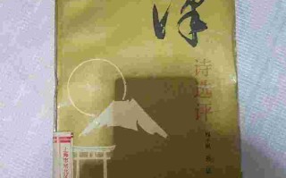 莎莉汉诗,莎莉的中文