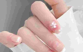 猛兽派对卡洛特卡洛特