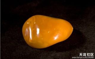 琥珀的品种有哪些 成交价格会很高吗