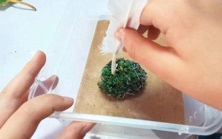 翡翠知识星球绘画日光翡翠叶在哪