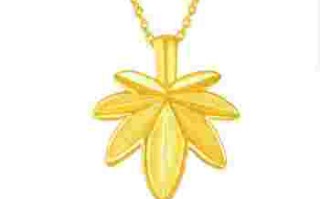 黄金项链坠子的款式图片,黄金项链的坠子怎样方便佩戴