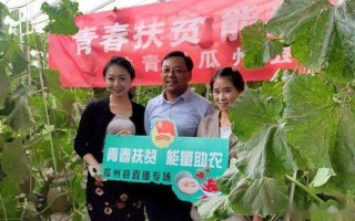 谈谈电商直播助农扶贫的意义和价值,直播电商是如何助农扶贫的