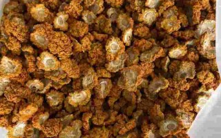 金耳环药材多少钱一斤啊,金耳环药材多少钱一斤