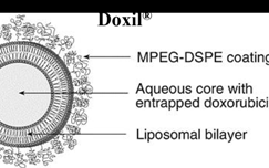 MDFormulations 买不到,mdformulations