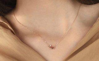 最近比较火的项链图片,2020最火的项链款式品牌