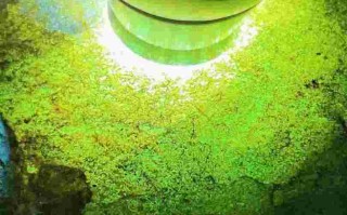 各场口翡翠原石特点6275,各场口翡翠原石特点