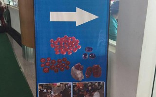 【2015缅甸公盘第三天】