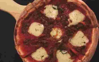 canus,can是什么意思