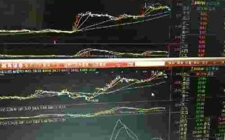 山东黄金股票行情601988,山东黄金股吧