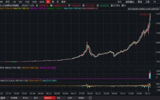美股行情特斯拉,美股行情特斯拉苹果