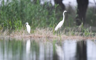 抖抈app下载国际版,抖音国际版污的破解版