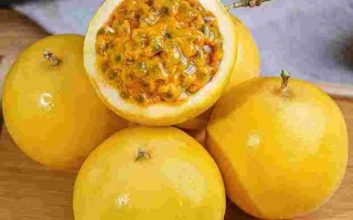 黄金果有什么功效与作用黄金果