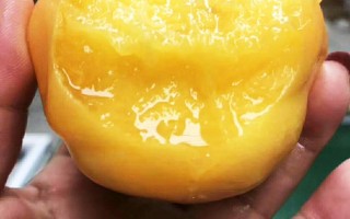 黄金蜜桃和黄桃的区别黄金蜜桃