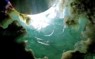 文山翡翠原石怎么挑选,文山翡翠原石怎么挑选好坏