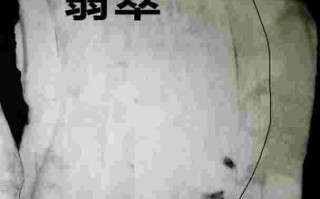 翡翠知识赌石视频教程全集,翡翠知识赌石视频教程