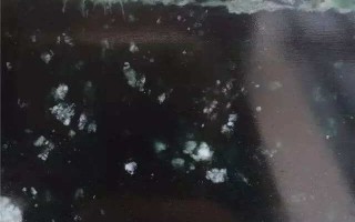 张老师直播翡翠知识讲解张老师直播翡翠知识讲解视频