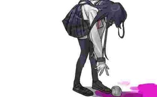 Canster holder,canster