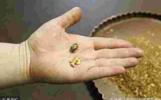 16吨黄金在加拿大机场被盗21.6吨黄金在加拿大机场被盗