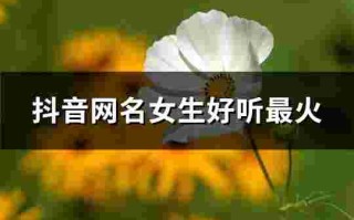 抖音名称.昵称女可爱两个字抖音名称昵称女可爱两个字大全