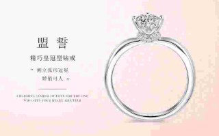 钻石小鸟老板娘,徐磊钻石小鸟