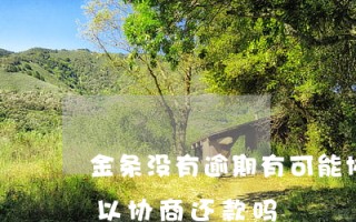 金条逾期了暂时还不上怎么办金条逾期了暂时还不上怎么办,可以慢慢还吗