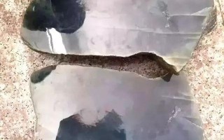 翡翠玻璃种手镯价格无色玻璃种翡翠手镯价格