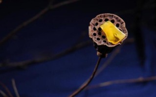 翡翠处理手镯可以戴吗,睡觉戴翡翠手镯好不好