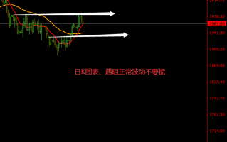 作手伦羽：7.23-7.27黄金周交易、多头不改