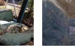 缅甸翡翠公盘6月重启  云南密玉珠宝采购团补仓(转载)