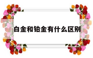 白金和铂金有什么区别哪个贵点白金和铂金有什么区别