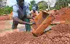 包含钻石豪门王采伶怎么死的的词条