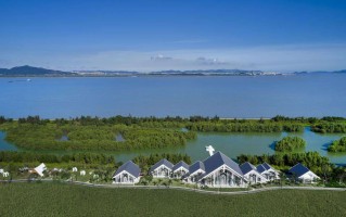 超级黄金法眼txt下载,黄金法眼txt下载