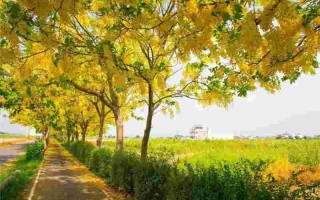 股海黄金雨量化波段王三合一版tn6下载