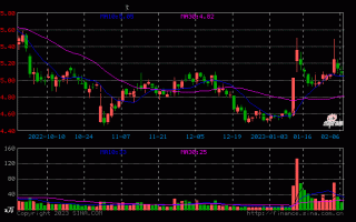 陕西黑猫,陕西黑猫是做什么的