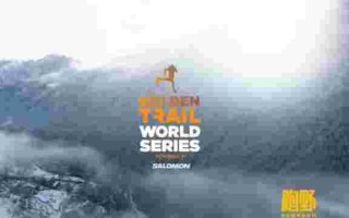 黄金联赛辩论赛,黄金联赛