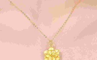 女士金项链价格一般在多少女士金项链价格