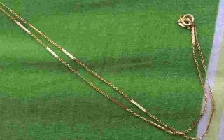 包含一根细金项链大概多少钱的词条