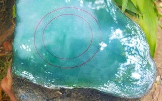 翡翠的真实鉴定方法男子带翡翠原石鉴定视频