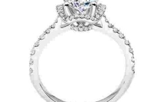 10克拉的钻戒一般多少钱10克拉的钻戒一般多少钱一个