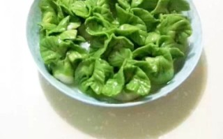 怎样做翡翠白菜