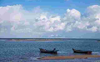 黄金渔场,黄金渔场免费全文阅读笔趣阁