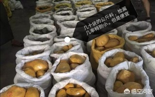 翡翠原石选购，如何在便宜的原料中捡漏？