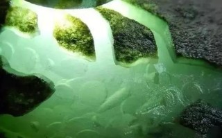 翡翠赌基本知识视频翡翠为什么要赌